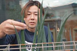 Японец уволился с работы, чтобы выращивать дома зелень и капусту