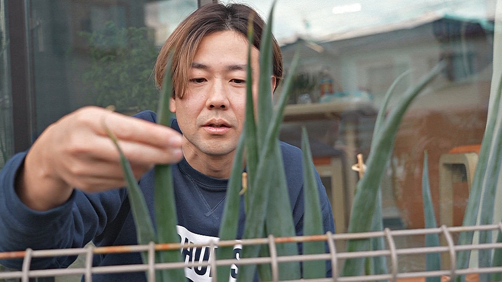 Японец уволился с работы, чтобы выращивать дома зелень и капусту