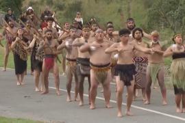 Новая Зеландия отмечает национальный праздник реконструкцией Дня Вайтанги