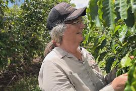 Австралия развивает собственное выращивание кофе