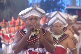 Грандиозный парад со слонами оживил столицу Шри-Ланки