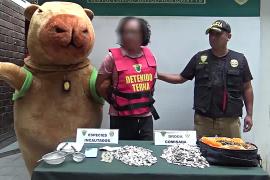 Как гигантская капибара арестовала наркоторговца в Перу