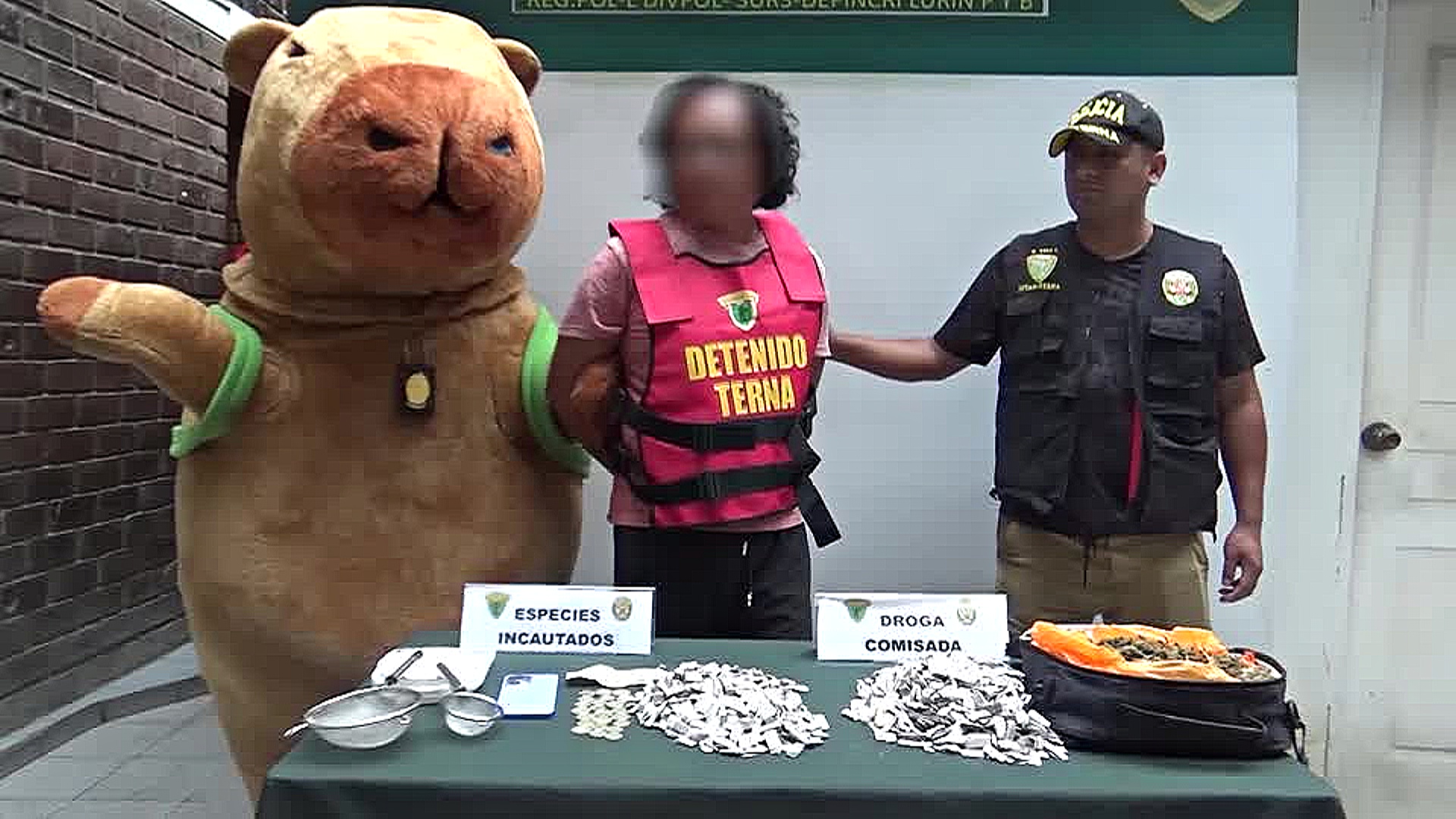 Как гигантская капибара арестовала наркоторговца в Перу