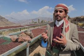 Йеменские фермеры улучшают вкус кофе с помощью специальной ферментации