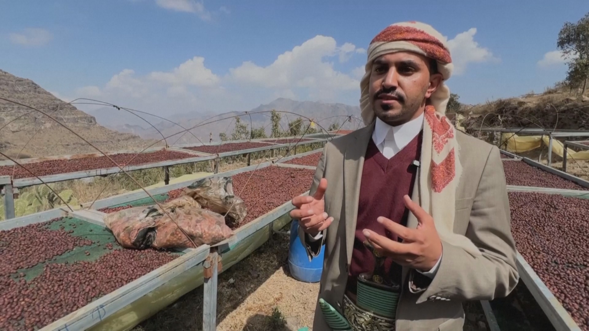 Йеменские фермеры улучшают вкус кофе с помощью специальной ферментации