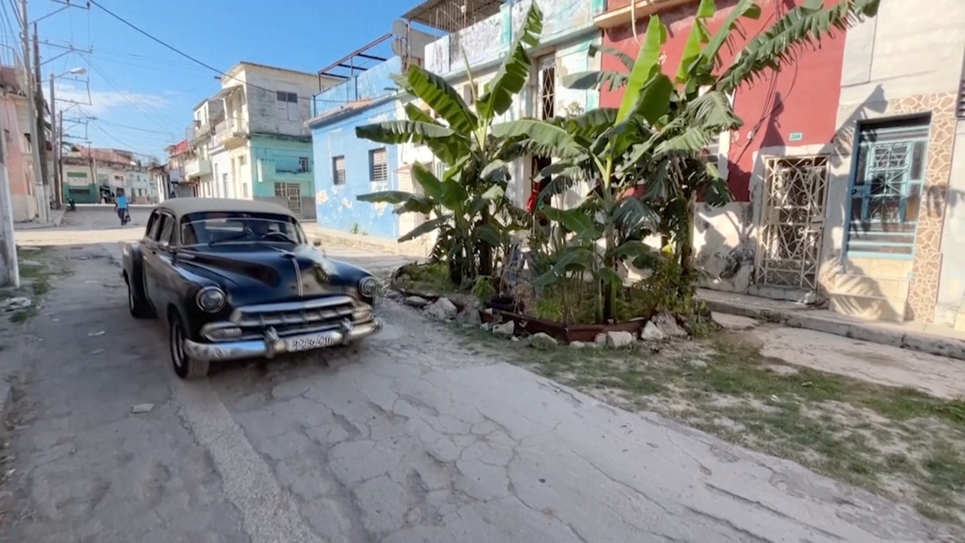 В Гаване на разбитом асфальте вырос банановый сад