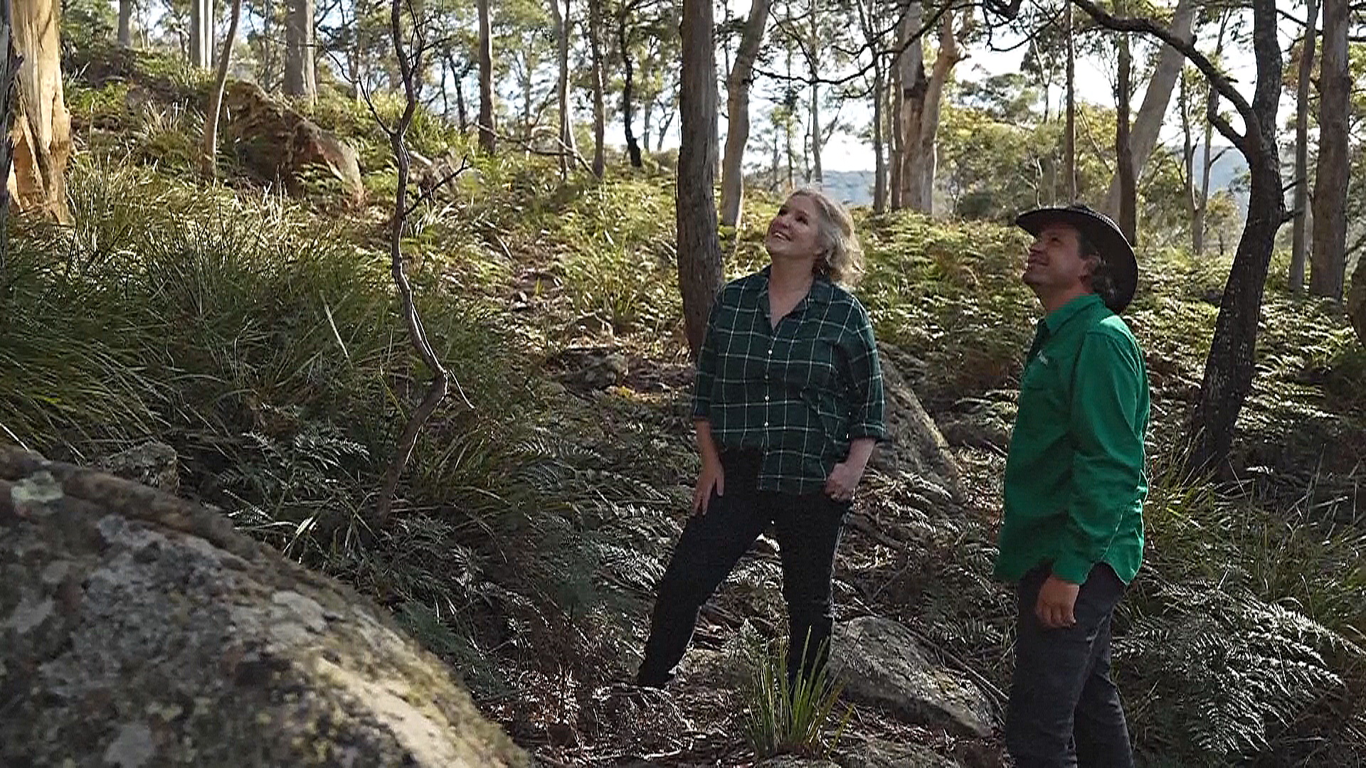 Жена миллиардера скупает земли, чтобы восстанавливать биоразнообразие Жена миллиардера скупает земли, чтобы восстанавливать биоразнообразие