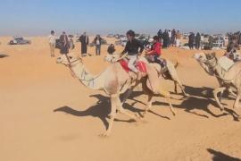 Верблюжьи скачки после пяти лет перерыва вернулись в Египет