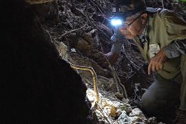 Ищет кости погибших: доброволец находит останки после битвы за Окинаву 80 лет спустя