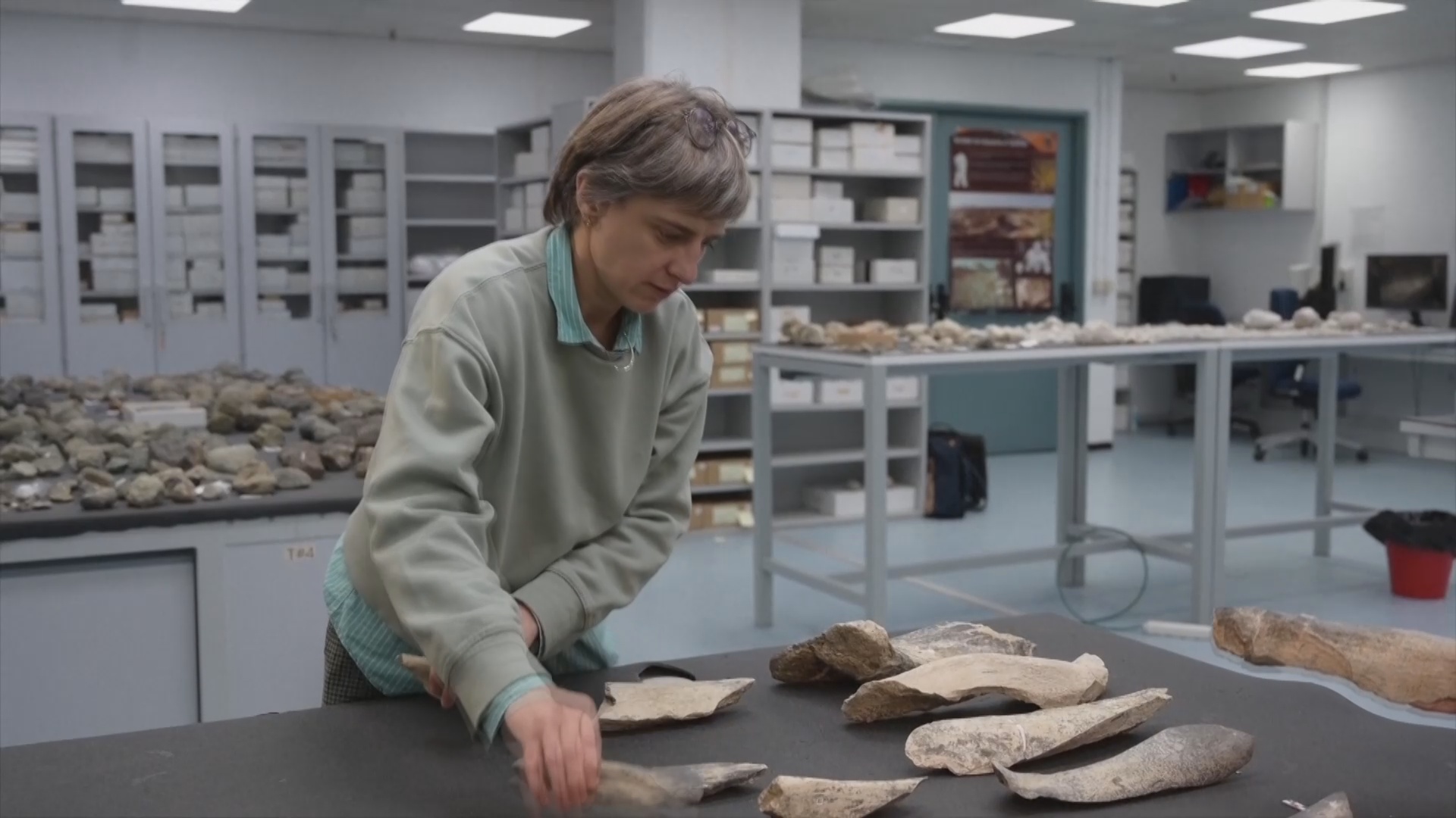 Люди стали делать костяные орудия на миллион лет раньше, чем считалось Люди стали делать костяные орудия на миллион лет раньше, чем считалось