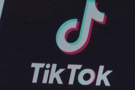 В Албании разделились мнения по поводу запрета TikTok