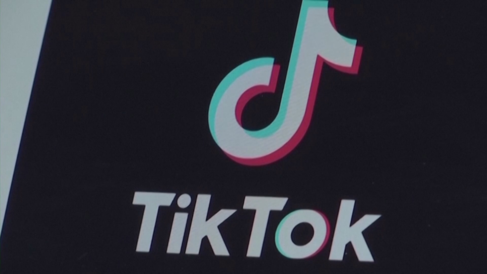 В Албании разделились мнения по поводу запрета TikTok