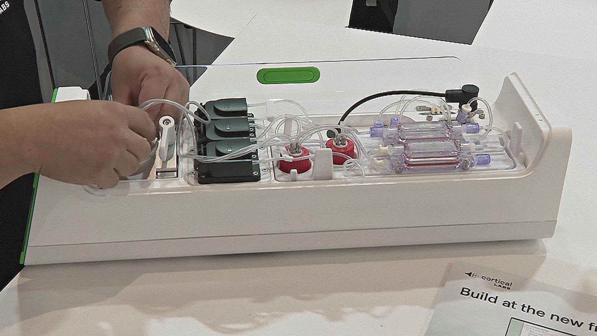 Первый в мире биологический компьютер разработал австралийский стартап Первый в мире биологический компьютер разработал австралийский стартап