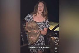 Американская блогерша обидела австралийцев, забрав детёныша вомбата у матери