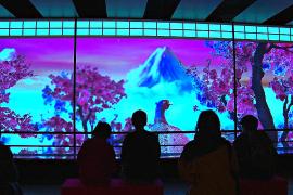 Древние гравюры оживают на цифровой выставке в Токио