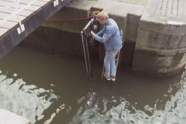 Как «дверной звонок» помогает рыбе проплывать через шлюз в Нидерландах