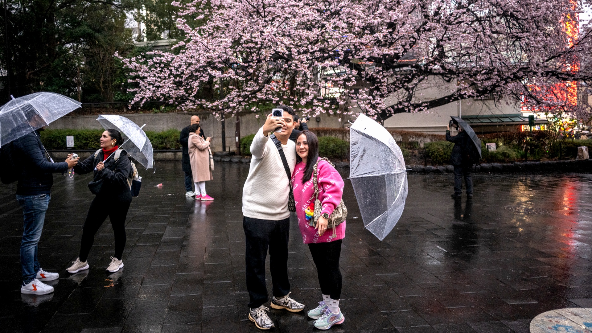 Цветение сакуры, бесплатные визы и окрепший рубль побуждают россиян ехать в Японию