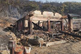 В Южной Корее полыхают более 20 лесных пожаров