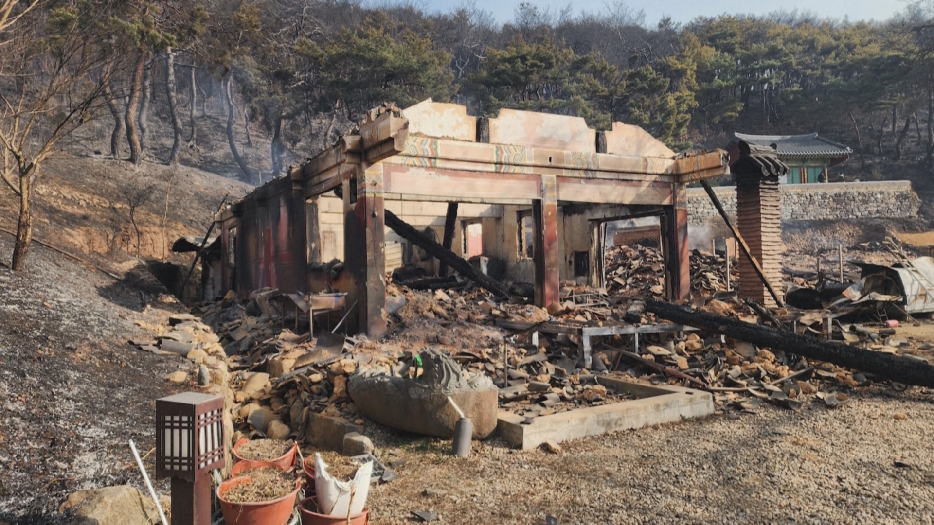 В Южной Корее полыхают более 20 лесных пожаров