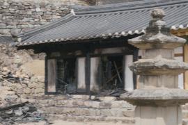 В Южной Корее растёт число погибших в результате лесных пожаров