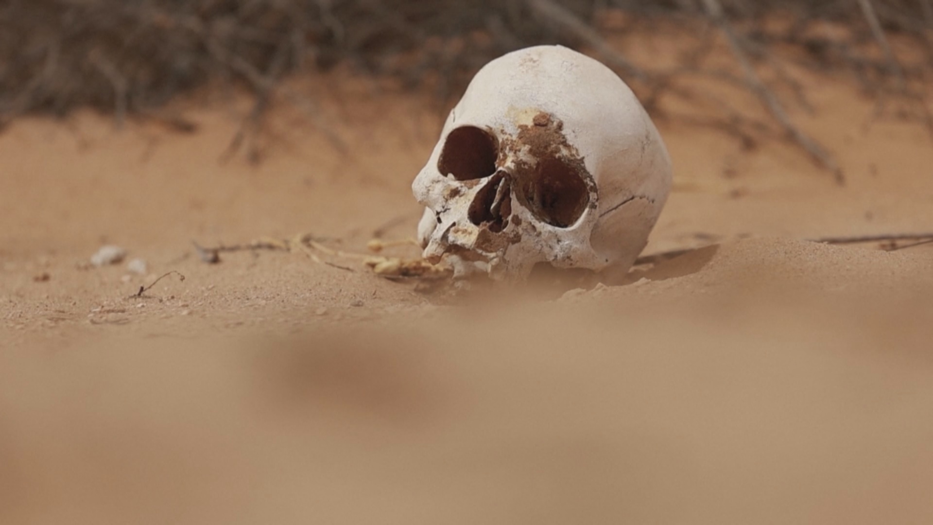 Волонтёры разыскивают останки мигрантов в пустыне у границы США с Мексикой Волонтёры разыскивают останки мигрантов в пустыне у границы США с Мексикой
