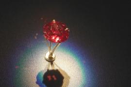 Редкий красный бриллиант представили в Национальном музее естественной истории в Вашингтоне