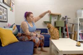 Законы о сдаче жилья в аренду в Канберре отпугивают арендодателей