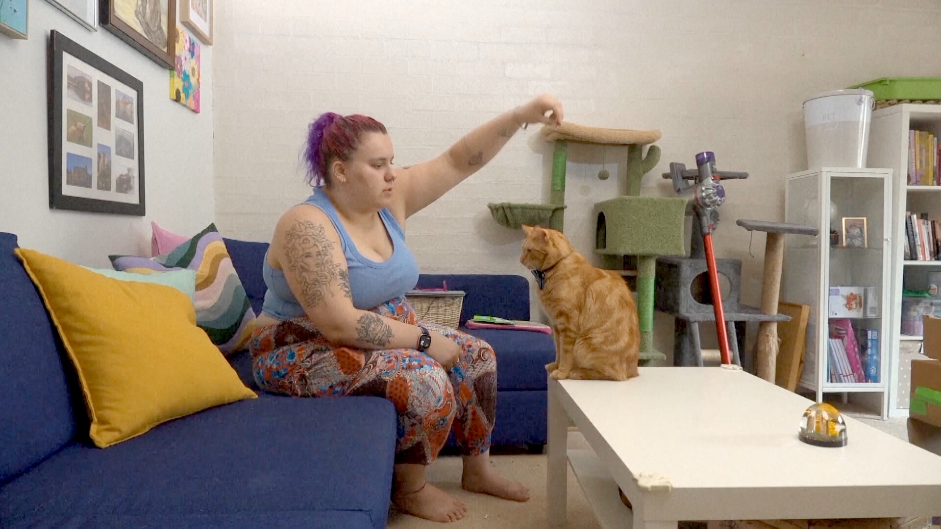 Законы о сдаче жилья в аренду в Канберре отпугивают арендодателей Законы о сдаче жилья в аренду в Канберре отпугивают арендодателей