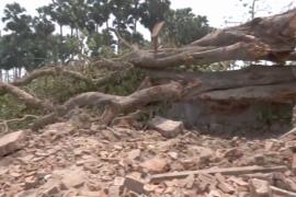 Более 100 человек погибли в Индии из-за сильных гроз