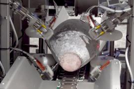 Японцы сделали «умное» устройство, которое оценивает жирность тунца