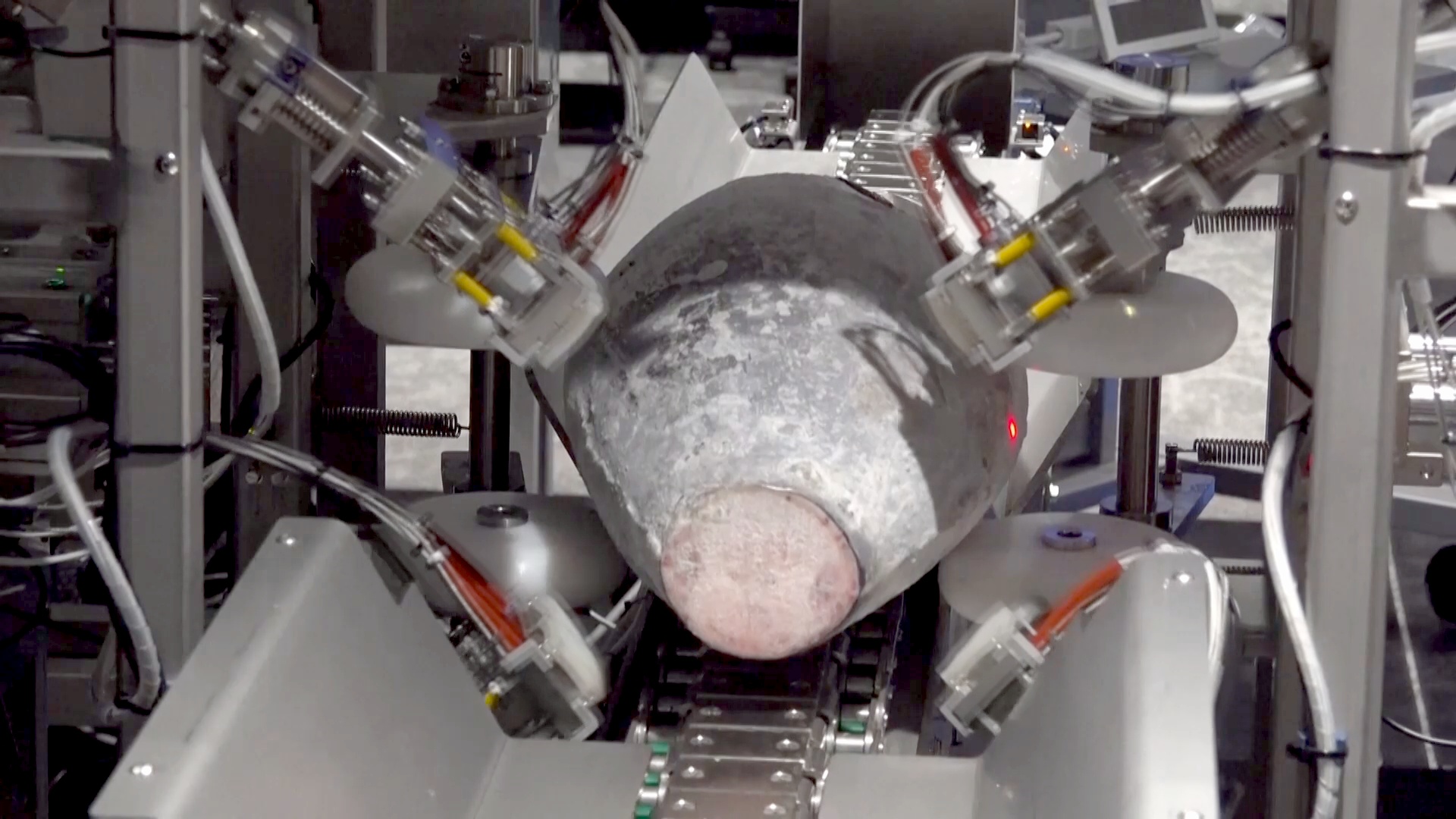 Японцы сделали «умное» устройство, которое оценивает жирность тунца