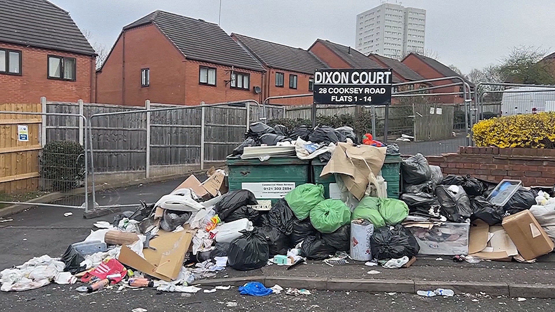 Крысы и кучи мусора: во втором по величине городе Великобритании – кризис из-за забастовки Крысы и кучи мусора: во втором по величине городе Великобритании – кризис из-за забастовки