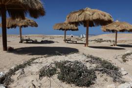 Экологи обеспокоены строительством в египетском заповеднике