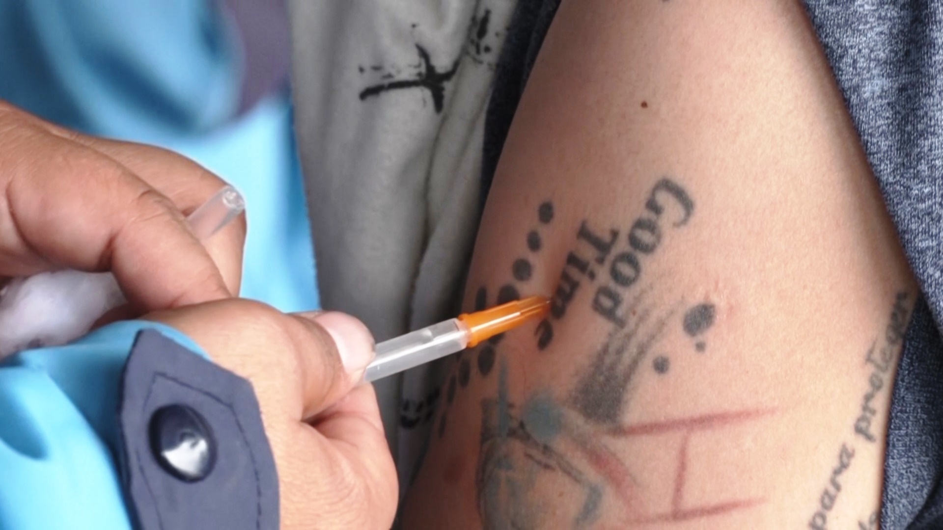 В Колумбии объявили ЧС из-за вспышки жёлтой лихорадки