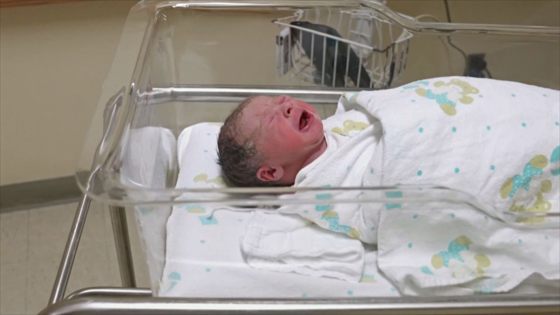 В Чили самая низкая рождаемость в Латинской Америке В Чили самая низкая рождаемость в Латинской Америке