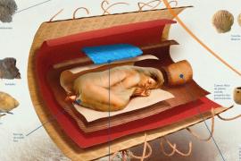 В Перу нашли гробницу женщины, которая жила в эпоху древней культуры Норте-Чико