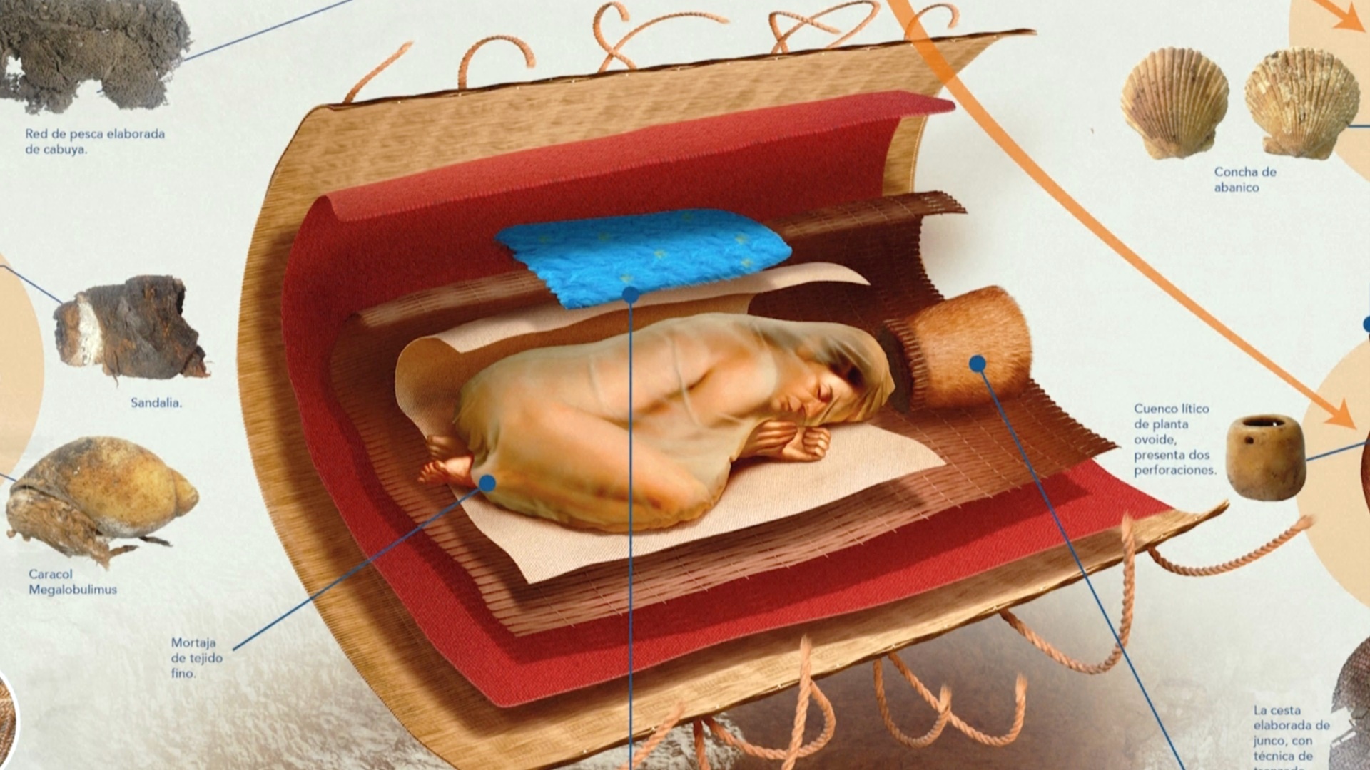 В Перу нашли гробницу женщины, которая жила в эпоху древней культуры Норте-Чико В Перу нашли гробницу женщины, которая жила в эпоху древней культуры Норте-Чико