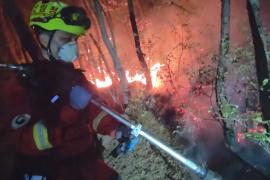 В Южной Корее снова тушат масштабный лесной пожар