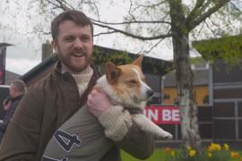 16 забавных корги посостязались в скорости в Шотландии