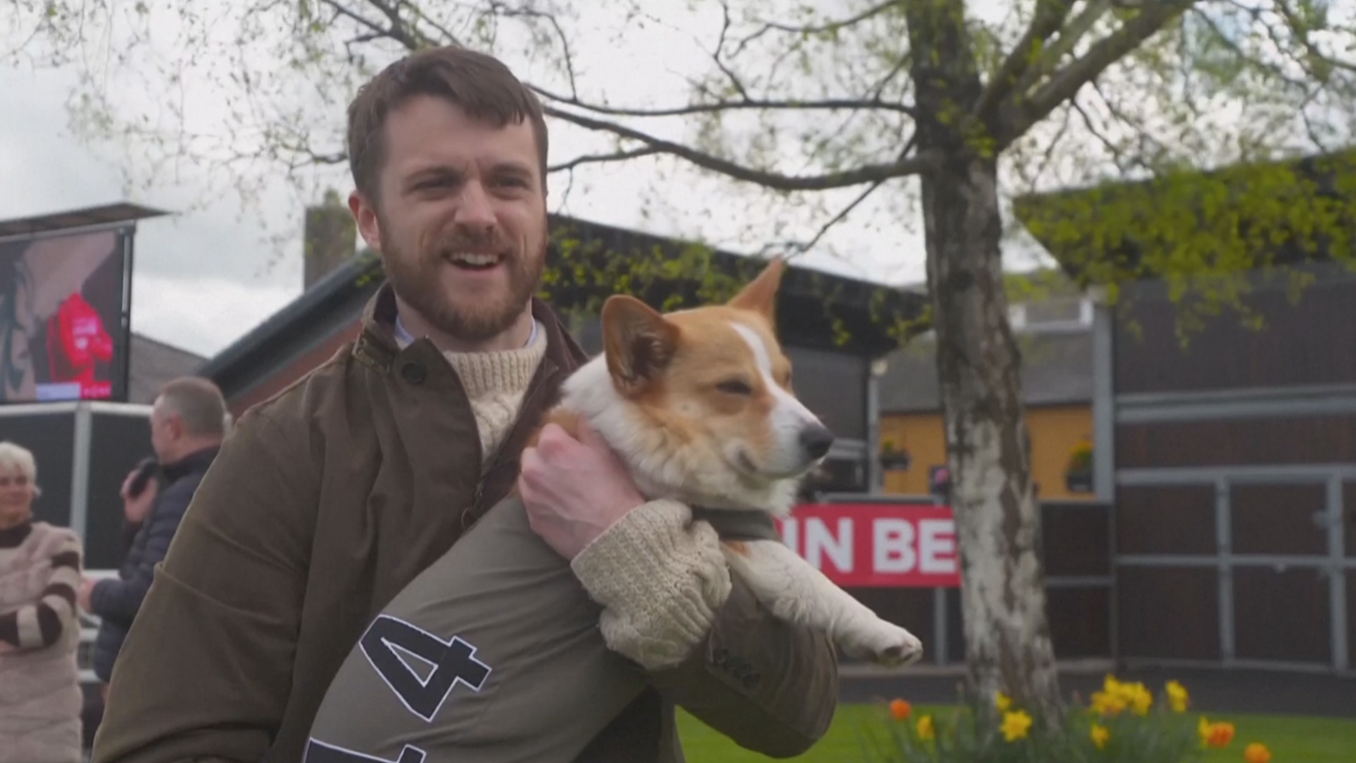 16 забавных корги посостязались в скорости в Шотландии