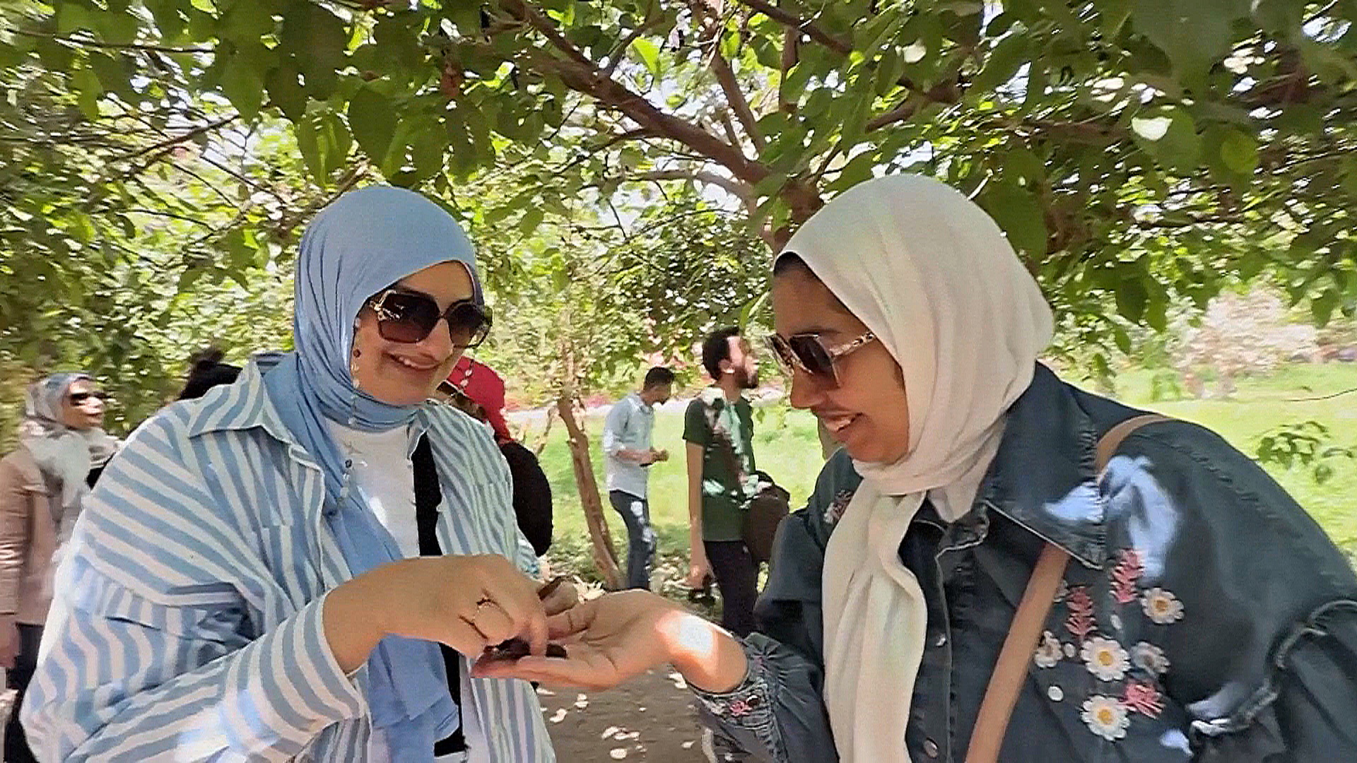 В Египте возрождают кулинарные традиции благодаря экскурсиям на ферму