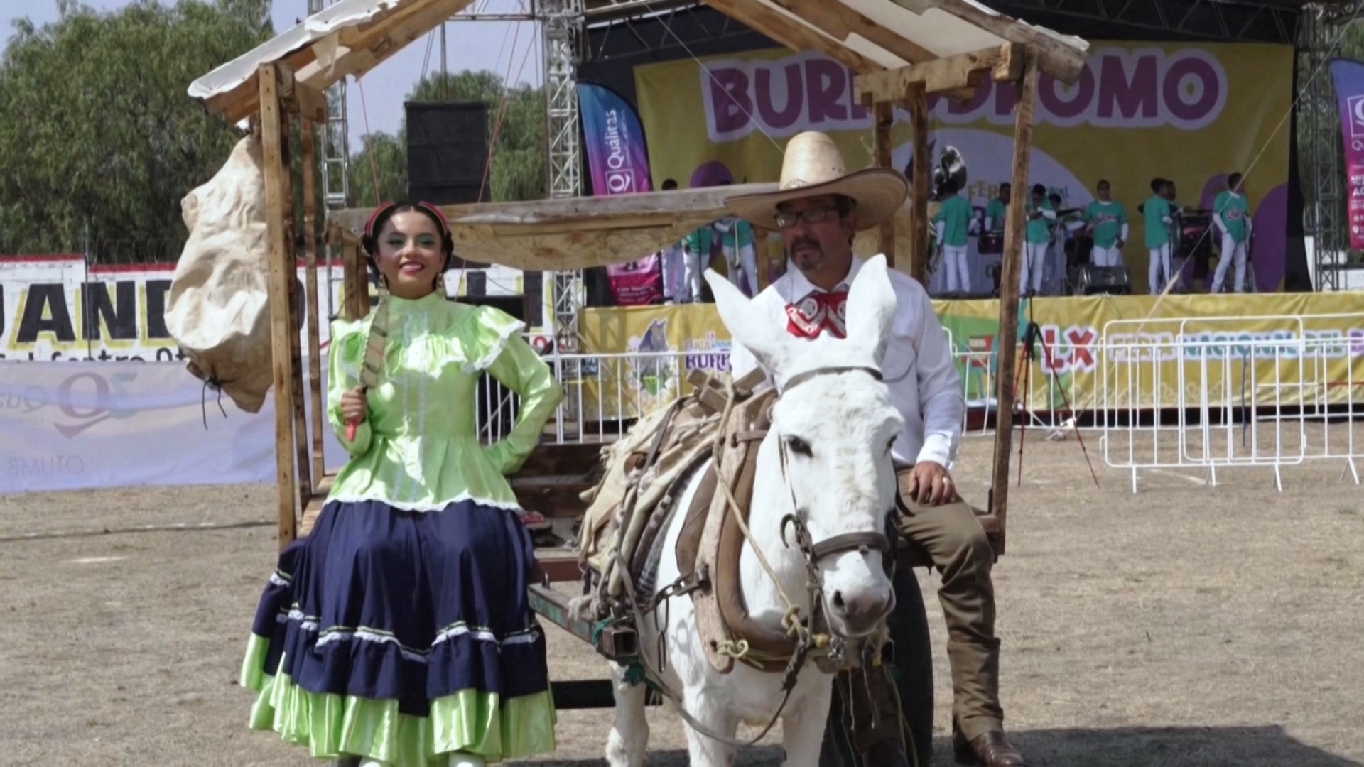 День осла: в Мексике 1 мая посвятили трудолюбивым животным День осла: в Мексике 1 мая посвятили трудолюбивым животным