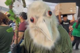 Сотни косплееров поучаствовали в фестивале «День комиксов» в Перу