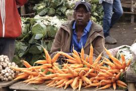 Перед повстанцами M23 встала сложная задача – возродить экономику на востоке ДР Конго