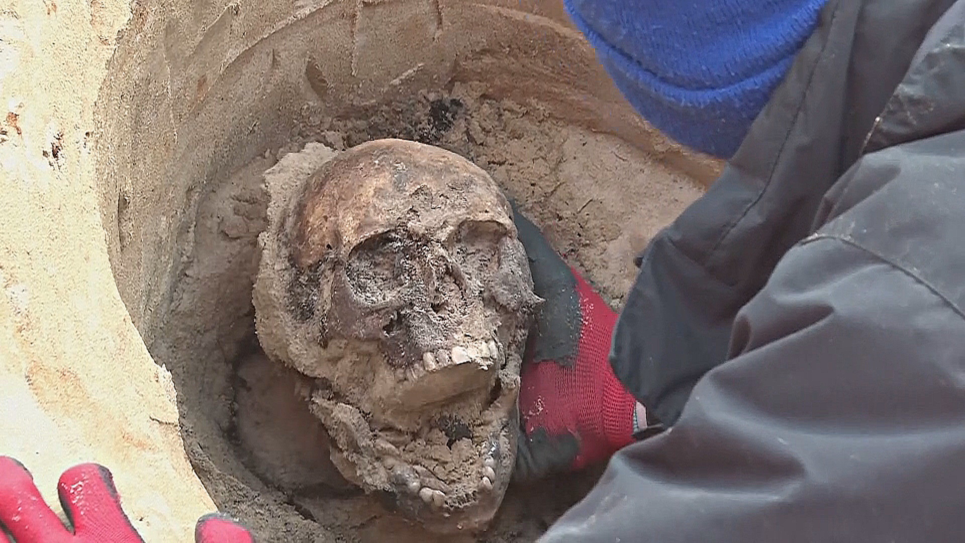 Немецкая организация продолжает искать останки солдат, павших во Второй мировой Немецкая организация продолжает искать останки солдат, павших во Второй мировой