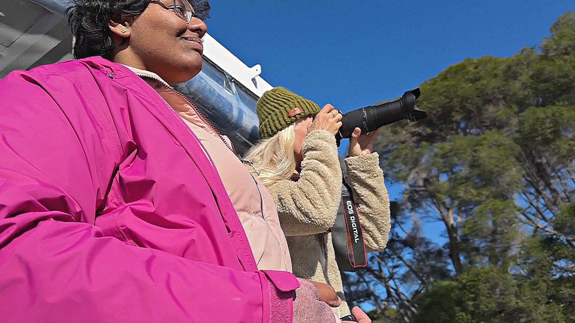 Наблюдение за птицами помогает защищать австралийские виды пернатых