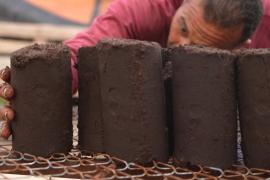 Тунисская компания превращает отходы оливкового производства в биотопливо