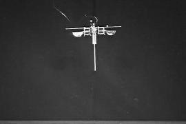 Прыгающего робота на одной ноге разработали в США