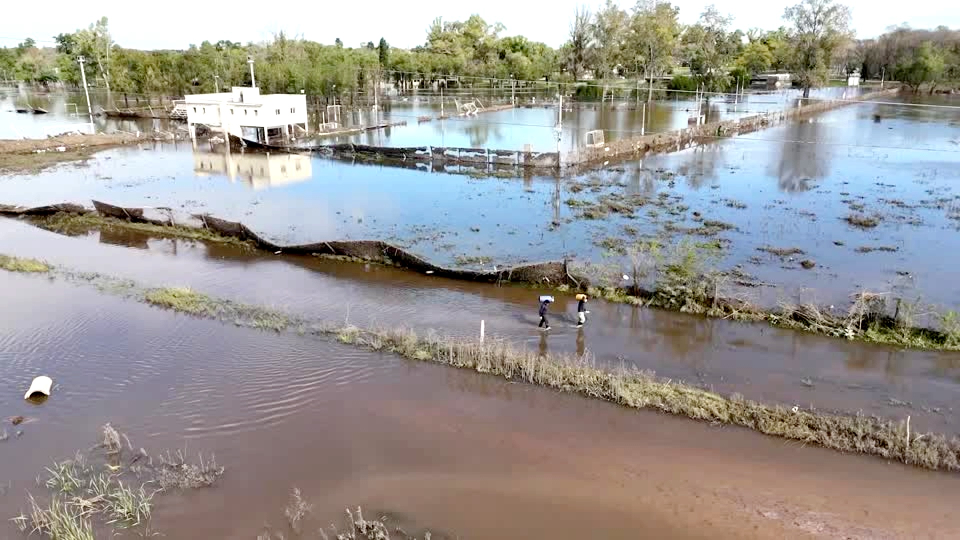 Сильные ливни нанесли серьёзный удар по сельскому хозяйству в Аргентине Сильные ливни нанесли серьёзный удар по сельскому хозяйству в Аргентине