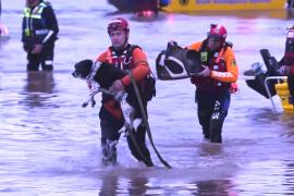 Непогода на юго-востоке Австралии губит людей